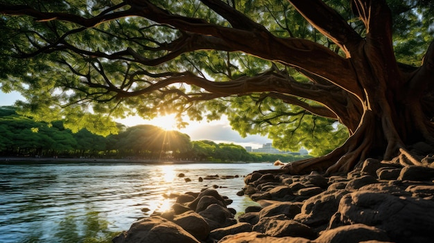 A large tree with green leaves is growing by a river