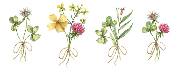 A large watercolor set of wild flowers collected in bouquets Clover forgetmenot and wild flower