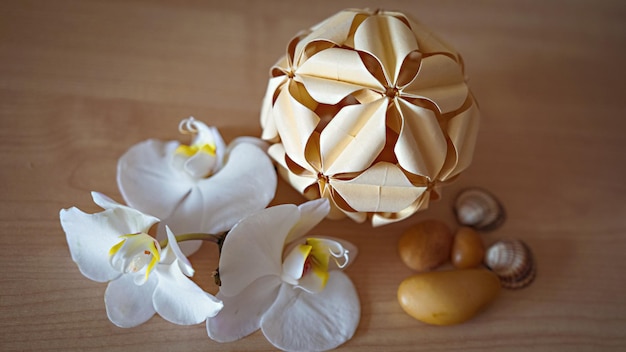 Large white orchid flowers on a brown background