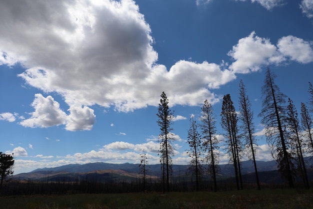 Lassen national park California