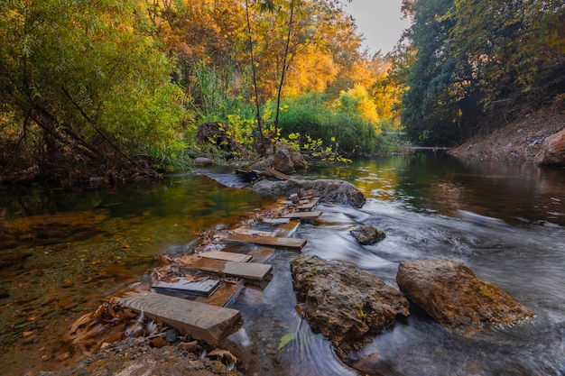 the last beauties of autumn before winter begins