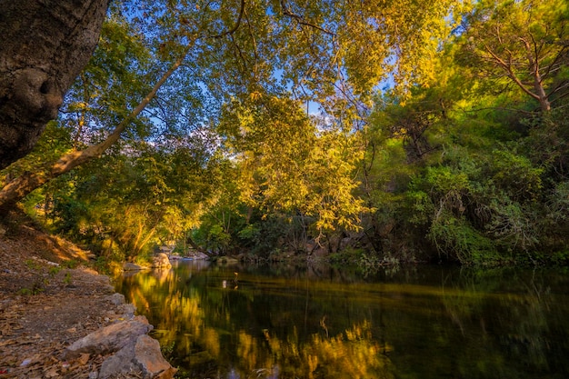 the last beauties of autumn before winter begins