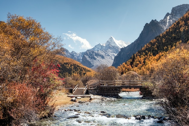 Photo the last shangri-la with chana dorje mountain in autumn pine forest