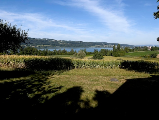 Late afternoon at Grafensee