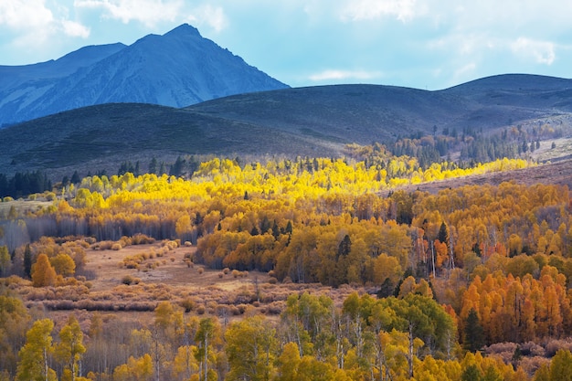 Late Autumn season in mountains