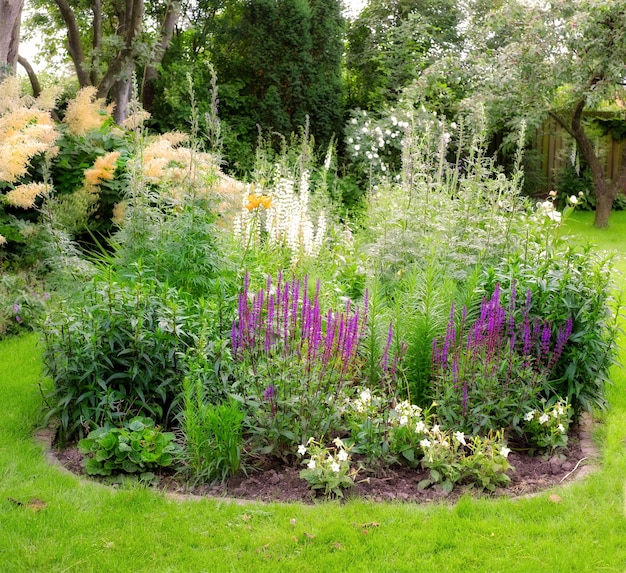 Late summer garden A panorama photo of the garden in late summer