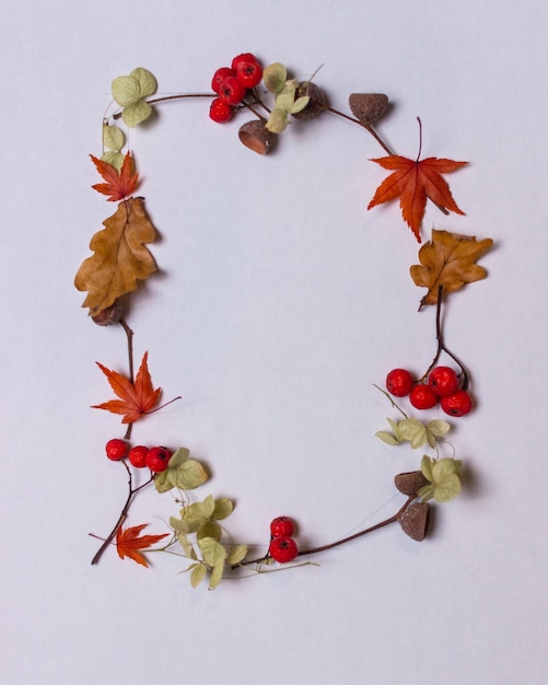 Latin alphabet letters from autumn leaves on a white background