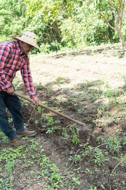 Latin Farmer digging in field