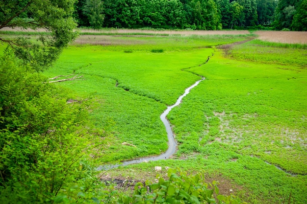 Latvian countryside landscape with creeks and green field