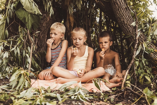 Laughing children play in a hut made of twigs and leaves. Wooden house in the village