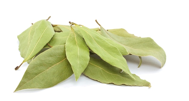 Laurel leaves isolated on white