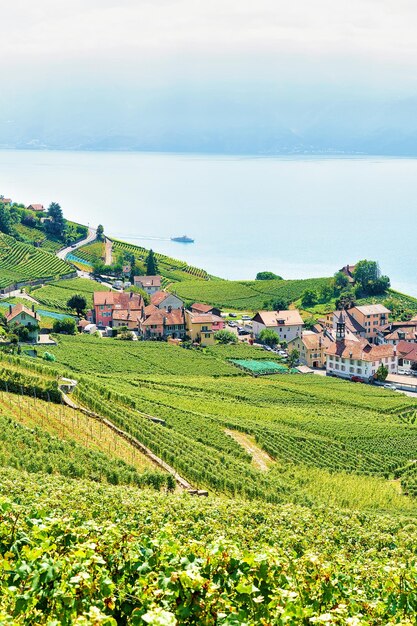 Lavaux Vineyard Terraces hiking route, Lake Geneva and Swiss mountains, Lavaux-Oron district of Swiss