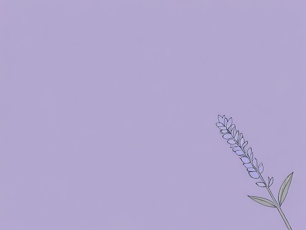 Photo lavender background