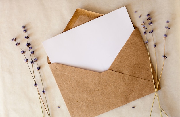 Lavender dry purple flowers. Minimal flat lay