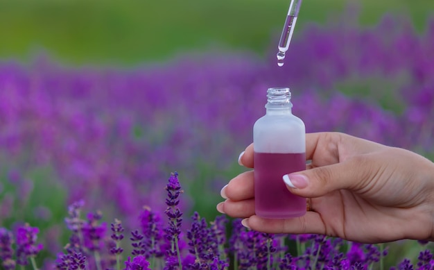 Lavender Essential oil bottle on wood table and flowers field background