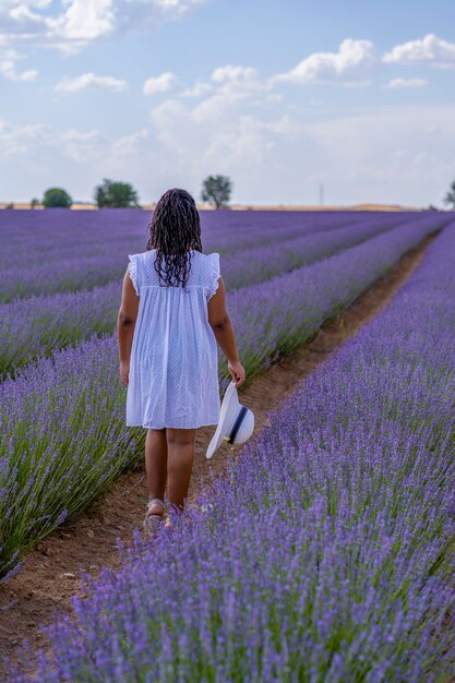 Lavender field