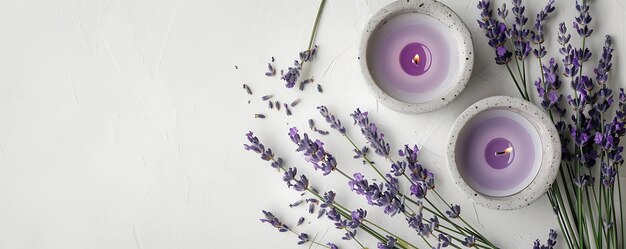 Lavender flat lay purple flowers on a white background