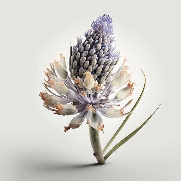 Lavender flower illustration. IA generative.