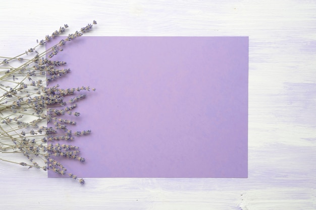 Lavender flower over the purple background against the wooden texture