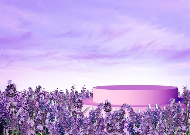 lavender flowers background, lavender field