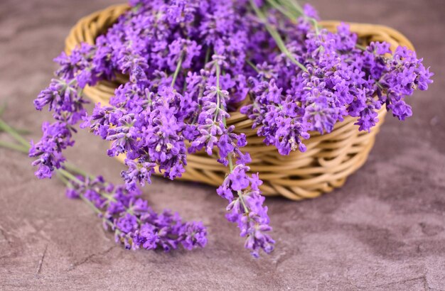 Lavender flowers in a basket Fresh lavender flowers on a gray background