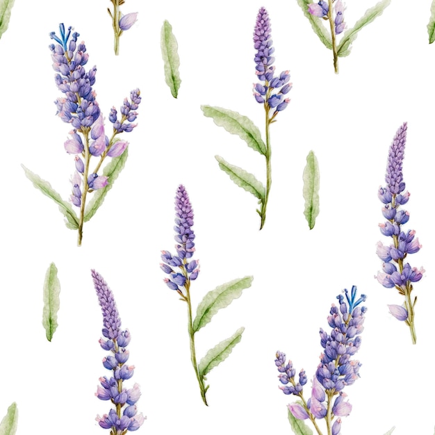 Lavender flowers floral watercolor decorative seamless pattern background