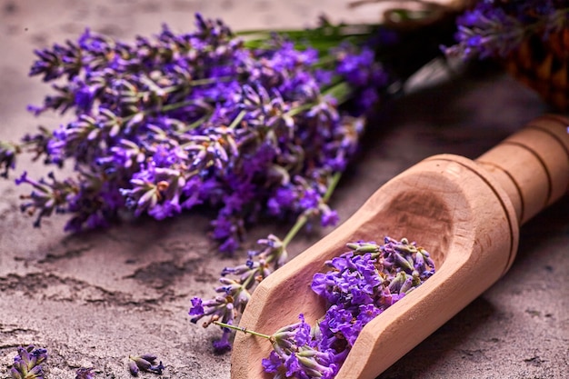 Lavender flowers on a gray concrete background with scratches