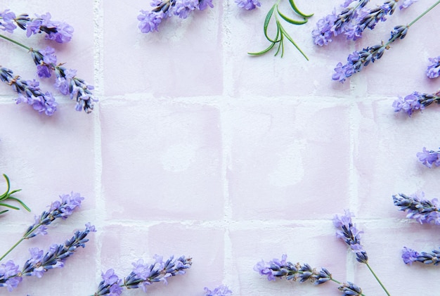 Lavender flowers and leaves creative frame on a pink tile background