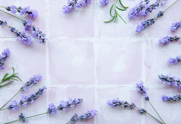 Lavender flowers and leaves creative frame on a pink tile background