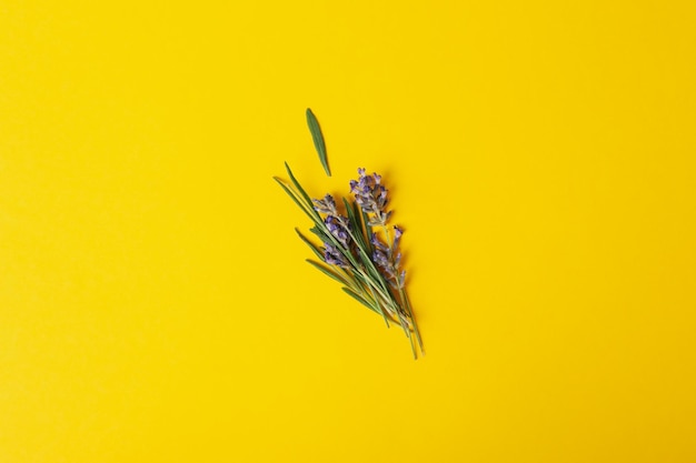 Lavender flowers and rosemary on yellow background