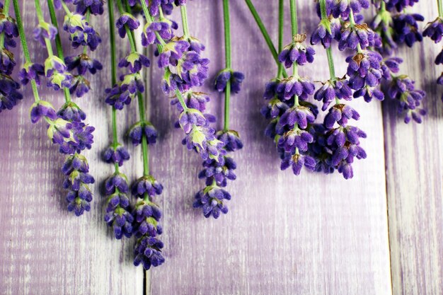 Lavender flowers on table close up