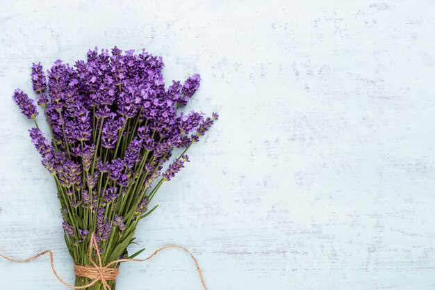 Lavender flowers on a white background