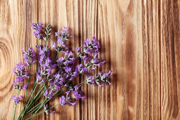 Lavender flowers on wooden background