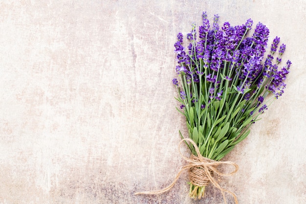 Lavender flowers