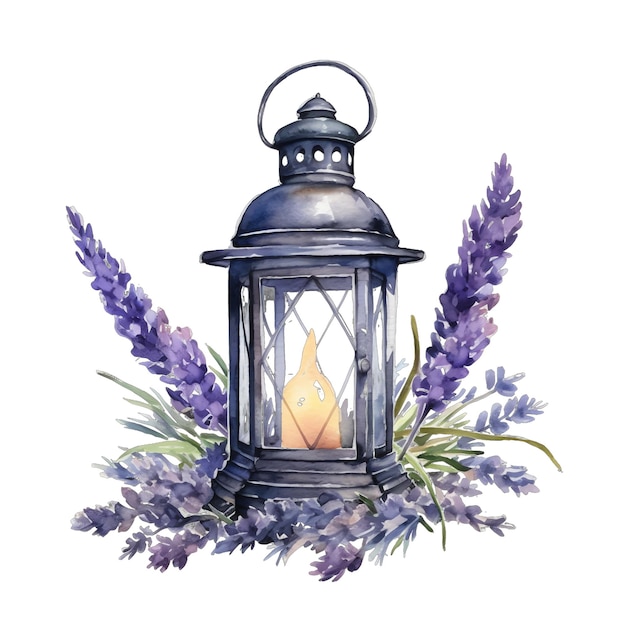 Lavender lantern watercolor illustration lavender clipart