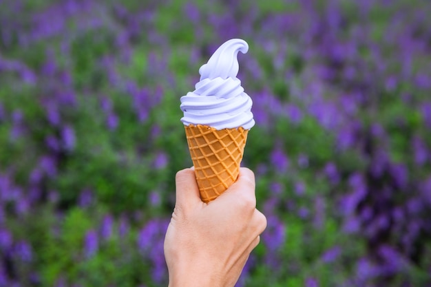 Lavender soft cream