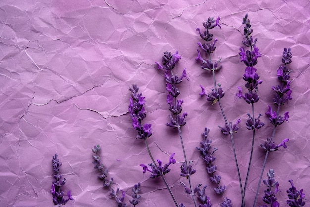 Lavender Texture Colored Cardboard Fibers and Grain on Paper Background