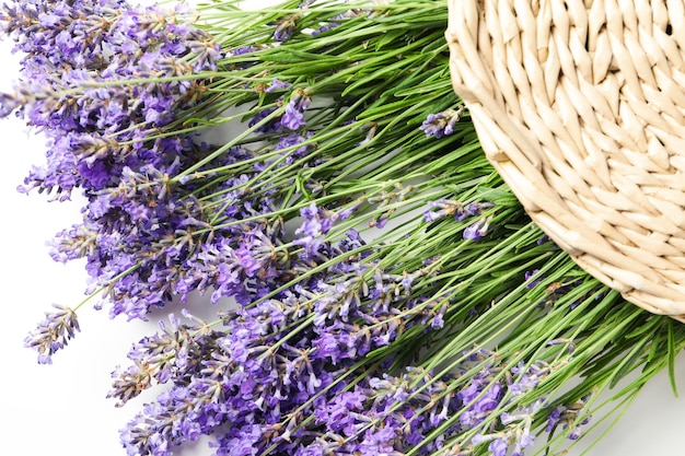 Lavender in wicker bag on white background