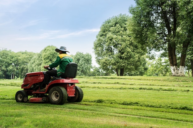 Lawn Mower. The worker cuts the lawn. Gardening