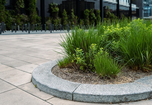 The lawn with plants is edged with a granite border