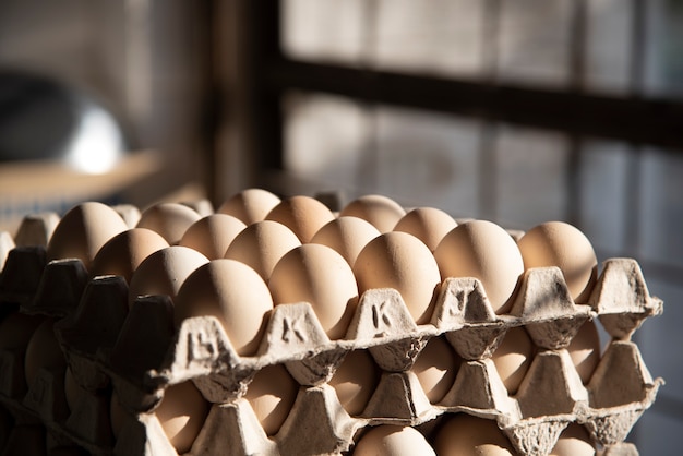 Lay eggs in a paper panel at the kitchen.