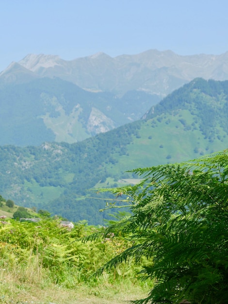 Layered landscape from mountain top in the Pyrenees National Park Oredon France Vertical photo