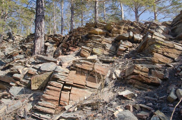 Layered rocks form rocks in the forest