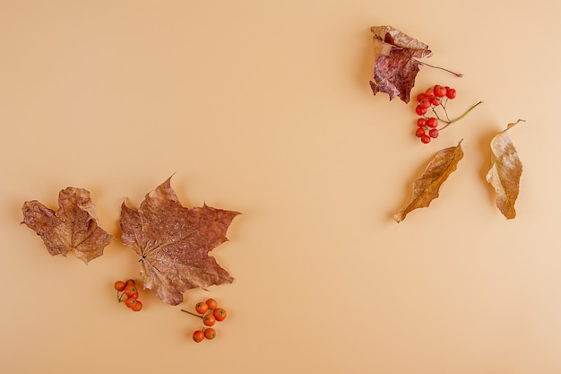 Layout from autumn leaves and flowers