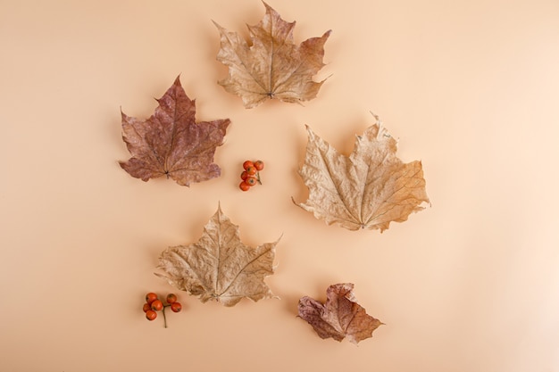 Layout from autumn leaves and flowers