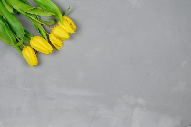 The layout is yellow tulips on a gray backgroundCopy space