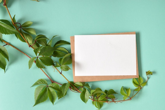 The layout of a kraft envelope on a light blue background with a branching branch Ecophone