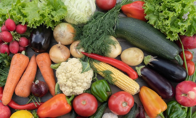 Layout made with of various vegetables and fruits on a table in a garden outdoor