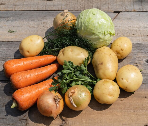 Layout made with of various vegetables and fruits on a table in a garden outdoorflat lay