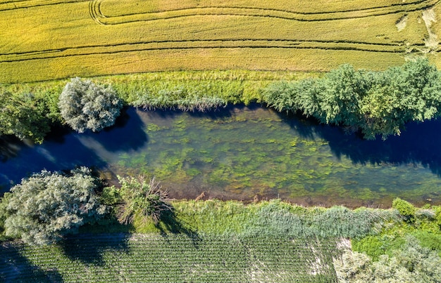 Le Rhin Tortu, a small river in the south of Strasbourg - Grand Est, France